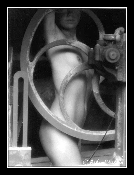 47 La roue de la fortune 1
